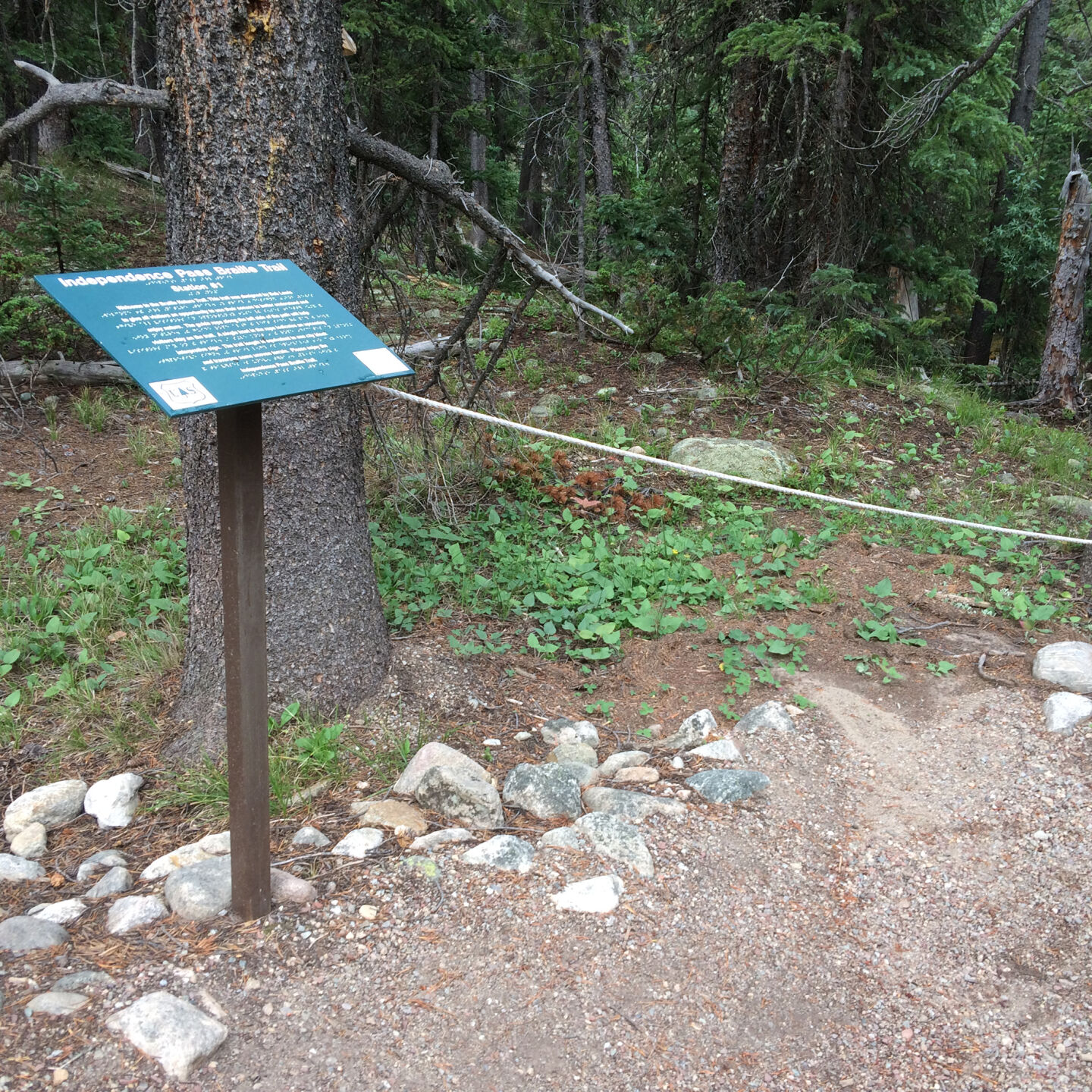 braille trail.JPG